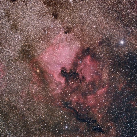 北アメリカ星雲周辺の星雲