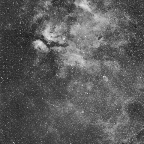 Hαによるはくちょう座中央部の星雲群