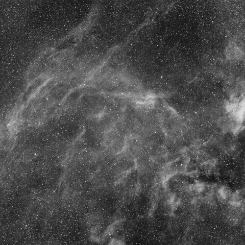 はくちょう座に潜む龍