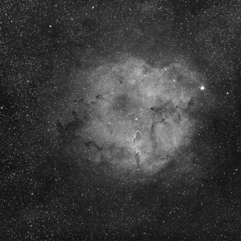 IC1396