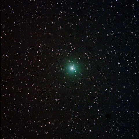 12/10の 46P/Wirtanen 彗星