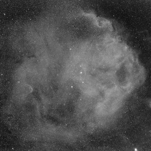 Sh2-264 エンゼルフィッシュ星雲