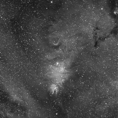 NGC2264 クリスマスツリー星団とコーン星雲