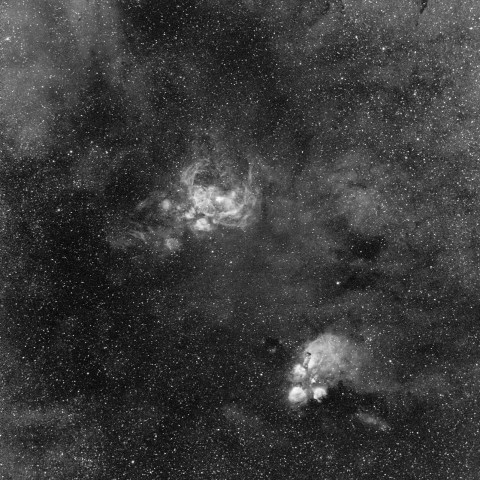 彼岸花星雲と出目金星雲