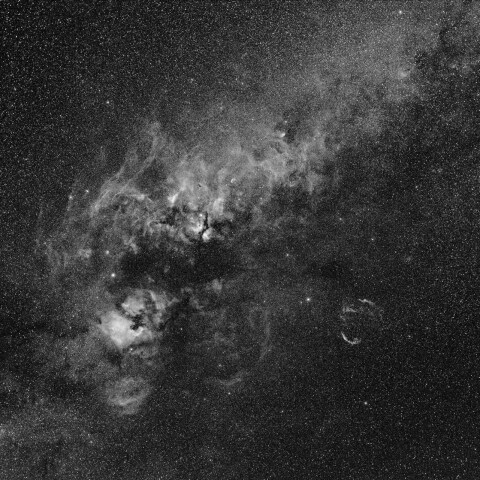 はくちょう座の HII領域