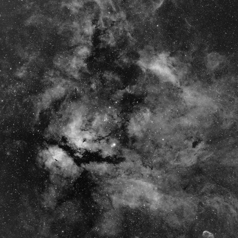 はくちょう座中央部の星雲群