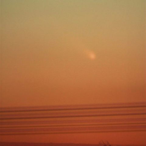 見えたぞ！　パンスター彗星