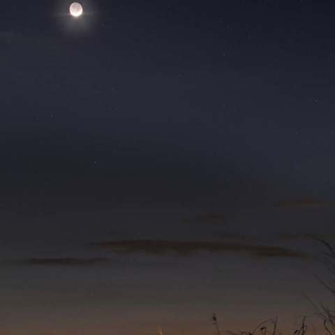 ホワイトデーの月とパンスター彗星