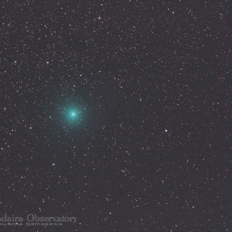 M14とNGC6366の狭間のリニア彗星