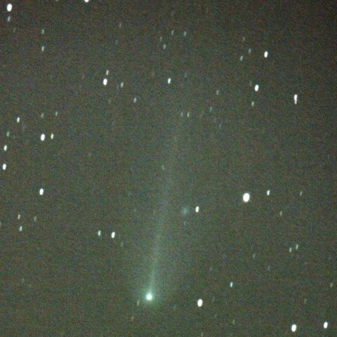 池谷・村上彗星(11/16早朝)