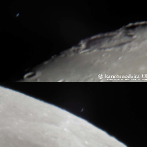 ポリマー食（2017.05/07）