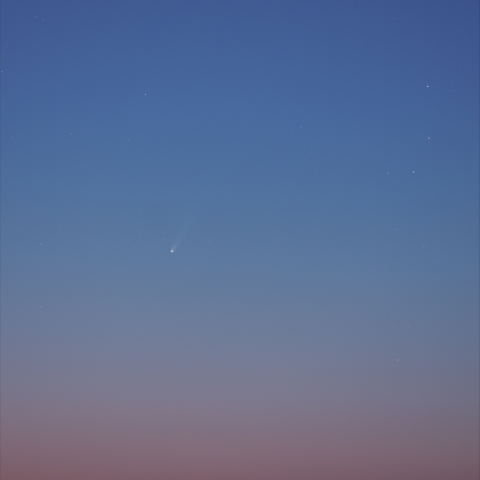 11月23日のアイソン彗星
