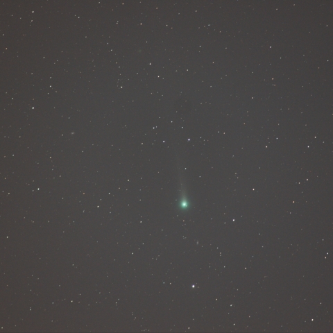 １１月２３日のラブジョイ彗星