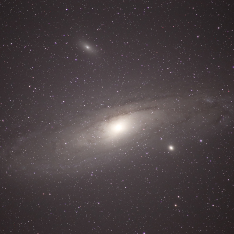 M31