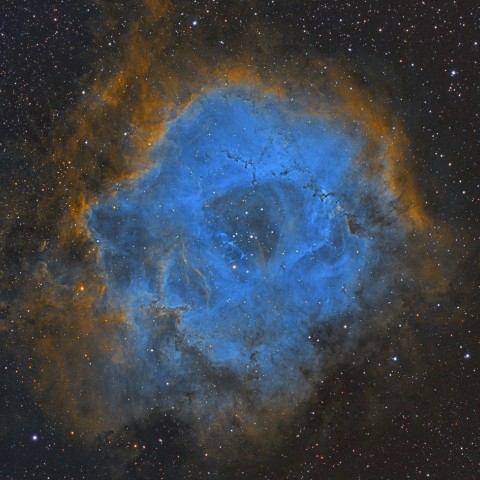 東京の新宿あたりのバラ星雲