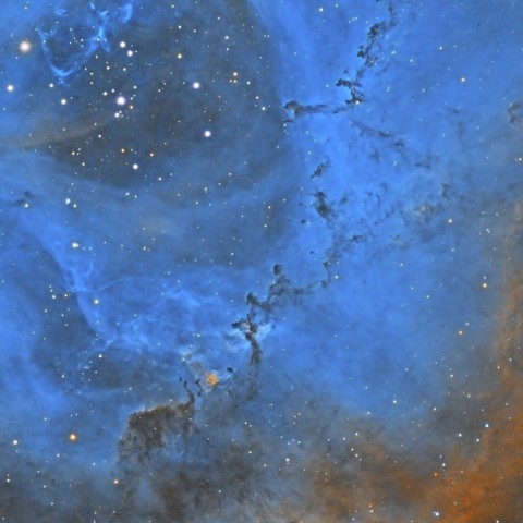 東京新宿からのバラ星雲の詳細