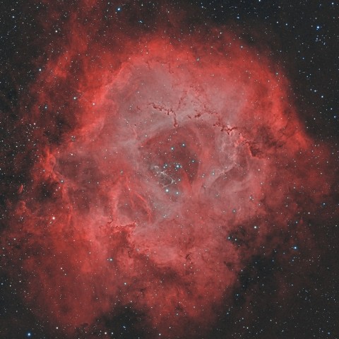 東京新宿からのバラ星雲・自然な色