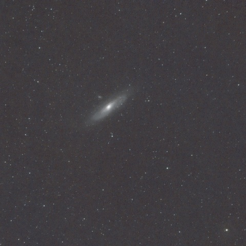 M31