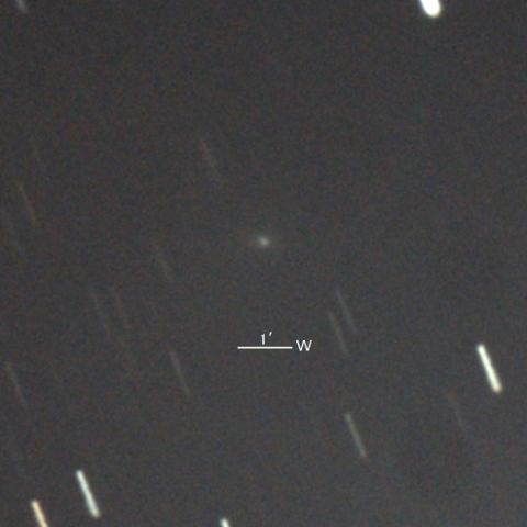 226P/Pigott-LINEAR-Kowalski彗星