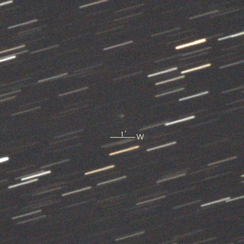 C/2023 T2 (Borisov彗星)