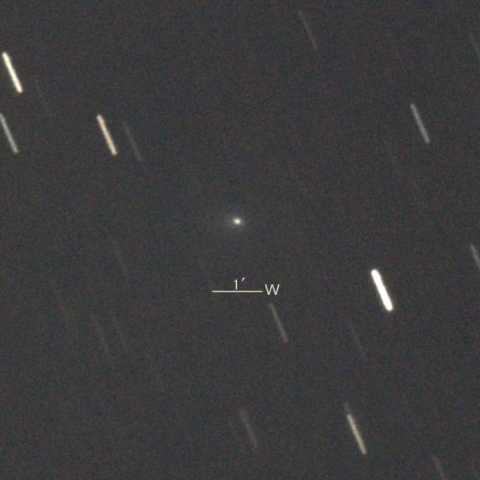 226P/Pigott-LINEAR-Kowalski彗星