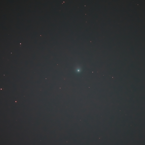 東京・板橋区で撮影したポンス・ブルックス彗星