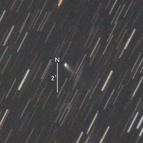 487P/Siding Spring彗星