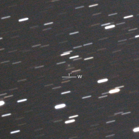 338P/McNaught彗星