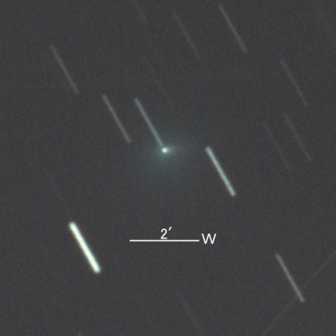 333P/LINEAR彗星