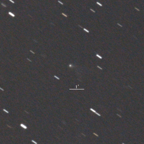 43P/Wolf-Harrington彗星