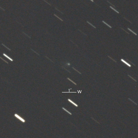 496P/Hill彗星