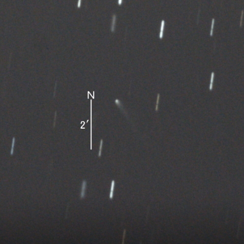 C/2023 H5 (Lemmon彗星)