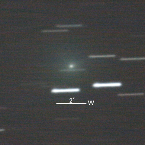 24P/Schaumasse彗星