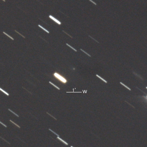 145P/Shoemaker-Levy第5彗星