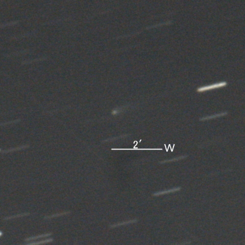 40P/Vaisala第１彗星