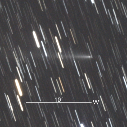 C/2025 K1 (ATLAS彗星) 