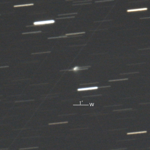 40P/Vaisala第１彗星