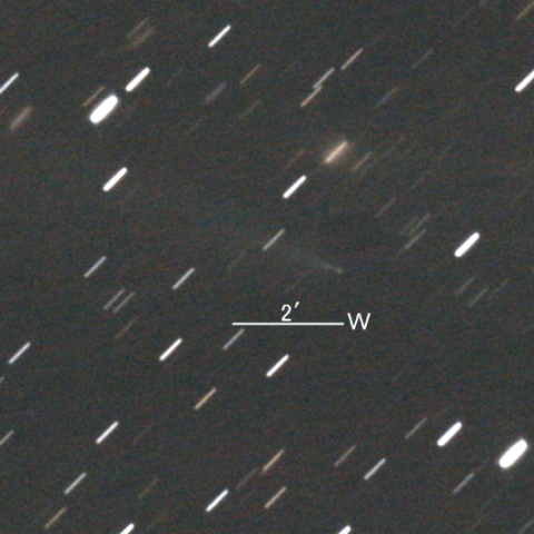 C/2025 K1 (ATLAS彗星) 