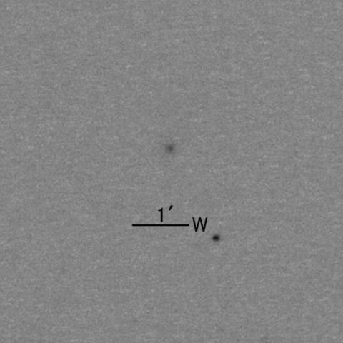 C/2013 V2 Borisov彗星