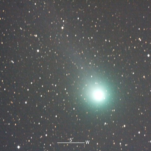 C/2014 Q2 Lovejoy 彗星