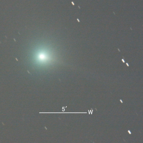 C/2013 X1 PanSTARRS彗星