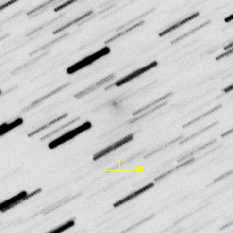 C/2015 WZ PanSTARRS彗星