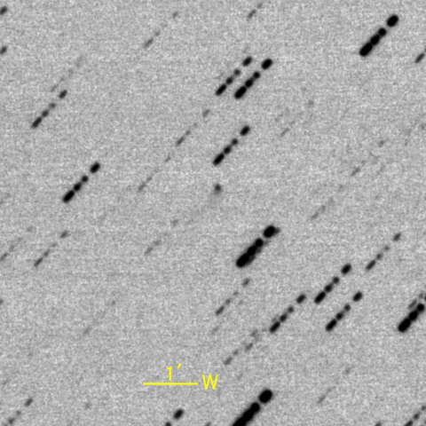 C/2014 A4 SONEAR彗星