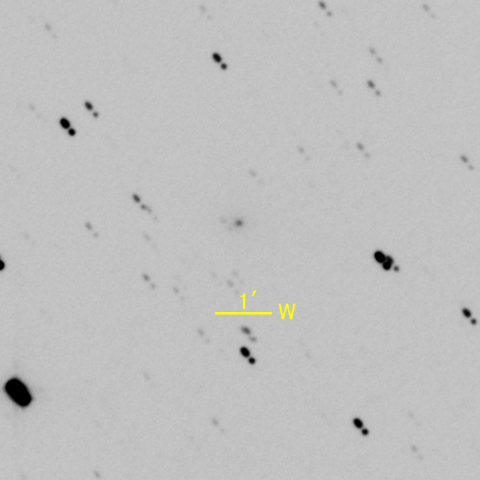 53P/Van Biesbroeck 彗星