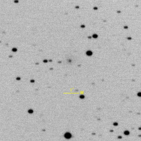 53P/Van Biesbroeck 彗星