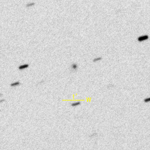 C/2016 N4 MASTER彗星