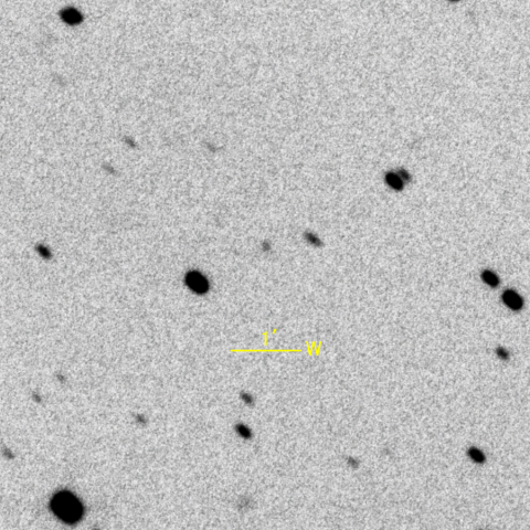 343P/NEAT-LONEOS彗星