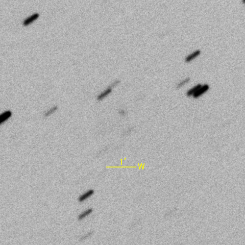 338P/McNaught 彗星