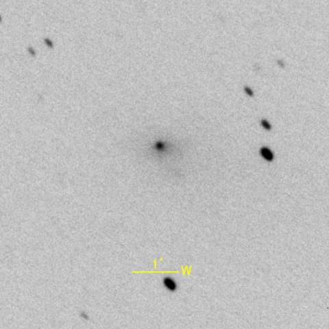 C/2011 KP36 Spacewatch彗星