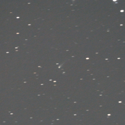 C/2015 V2 Johnson彗星